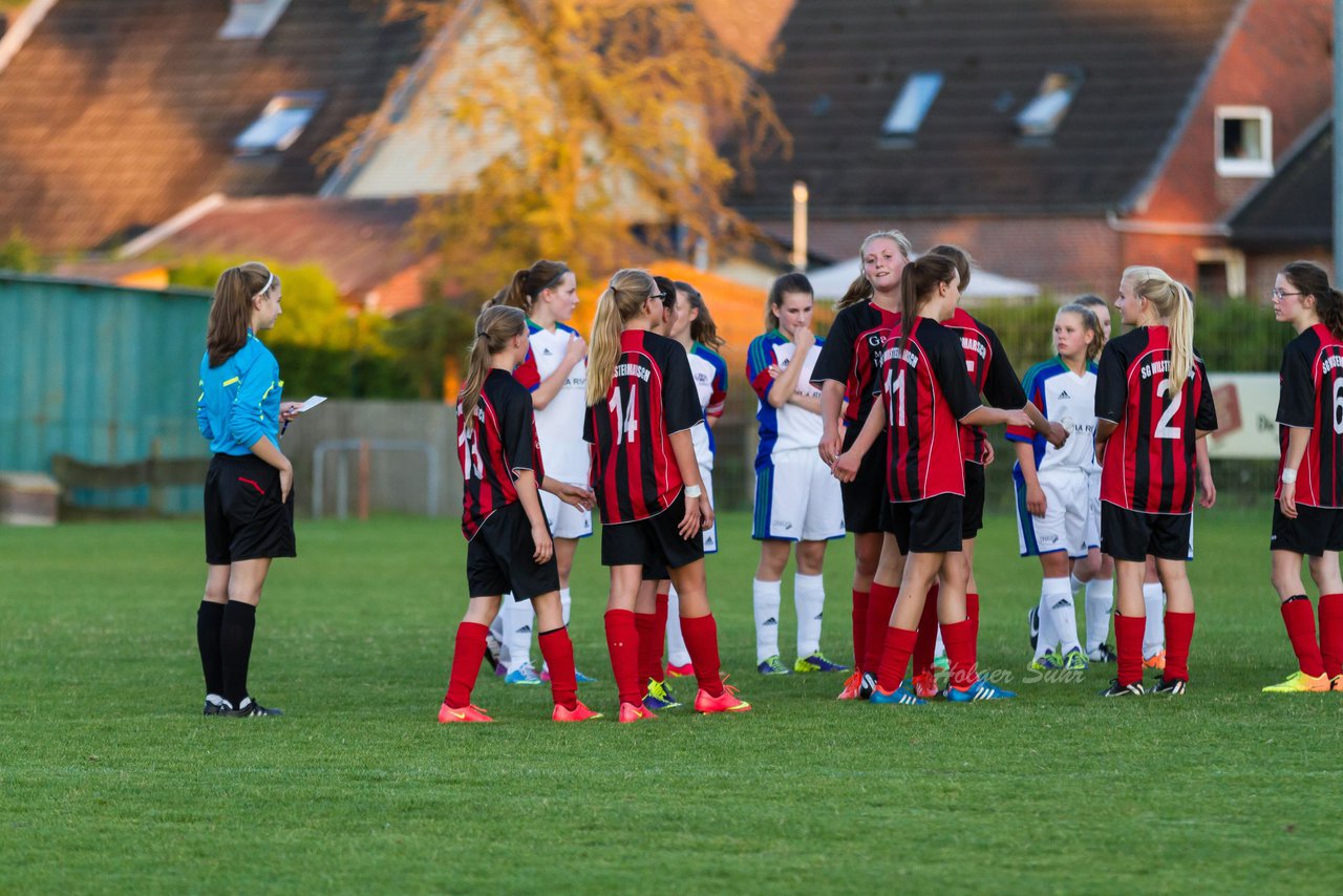 Bild 340 - B-Juniorinnen SG Wilstermarsch - SV Henstedt Ulzburg : Ergebnis: 5:1